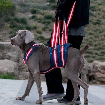 Средние и крупные собаки Нейлоновый тяговый ремень для домашних собак Нагрудный ремень для собак-инвалидов Вспомогательный ремень для пожилых собак Принадлежности для восстановления