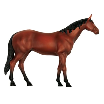 Анатомическая модель органа животного, 4D Игрушка для сборки интеллекта лошади, Обучающая Анатомическая модель, Научно-популярная техника DIY 2