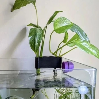 Подвесной держатель для аквариумных растений Горшок для водных растений с отверстием для держателя растений 0